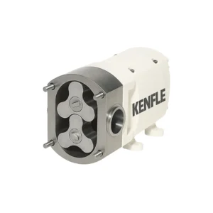 lobepompagovdesi-kenfle-